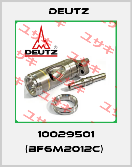 10029501 (BF6M2012C)  Deutz