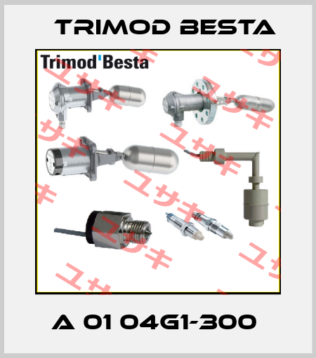 A 01 04G1-300  Trimod Besta