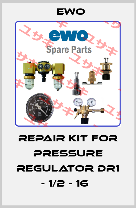 Repair Kit for pressure regulator DR1 - 1/2 - 16   Ewo
