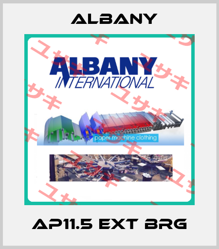 AP11.5 EXT BRG Albany