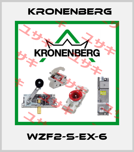 WZF2-S-EX-6 Kronenberg