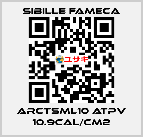 ARCTSML10 ATPV 10.9CAL/CM2 Sibille Fameca
