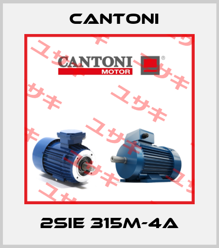 2SIE 315M-4A Cantoni