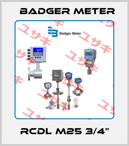 RCDL M25 3/4" Badger Meter