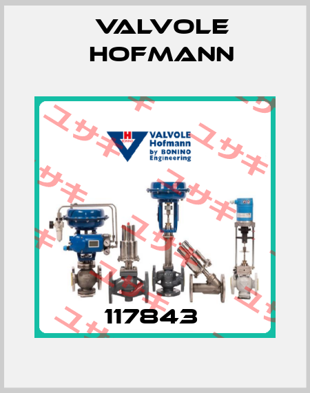 117843  Valvole Hofmann