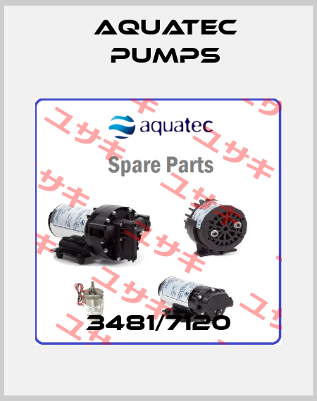 3481/7120 Aquatec Pumps