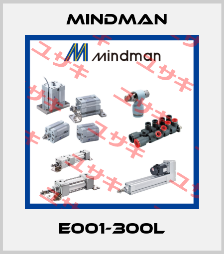 E001-300L Mindman