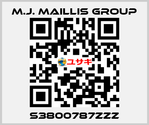 S3800787ZZZ M.J. MAILLIS GROUP