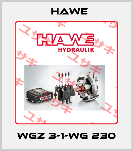 WGZ 3-1-WG 230 Hawe