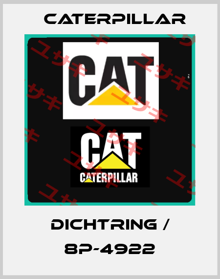 DICHTRING / 8P-4922 Caterpillar