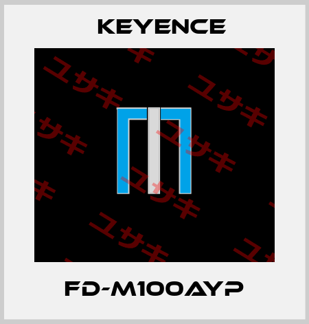 FD-M100AYP Keyence