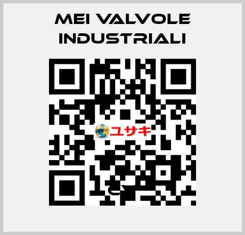 CV MEI VALVOLE INDUSTRIALI
