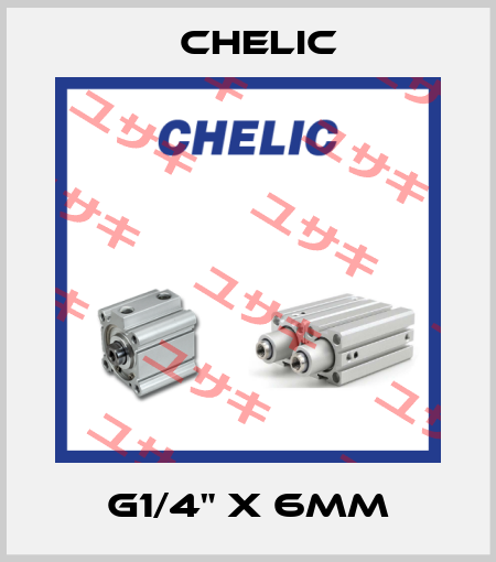 G1/4" x 6mm Chelic