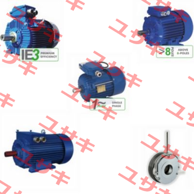 3SIE 280M-6+Forced cooling+PT100 in the winding IEC280 Cantoni