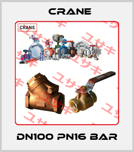DN100 Pn16 bar Crane