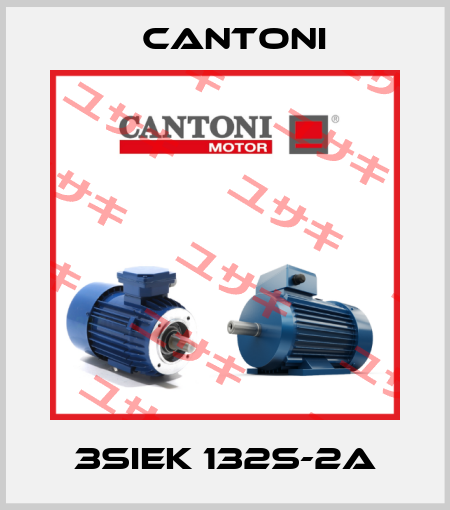 3SIEK 132S-2A Cantoni