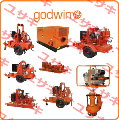 2305712016 Godwin Pumps