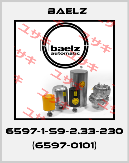 6597-1-S9-2.33-230 (6597-0101) Baelz