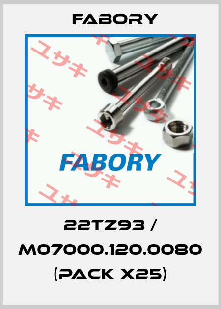 22TZ93 / M07000.120.0080 (pack x25) Fabory