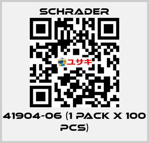 41904-06 (1 pack x 100 pcs) Schrader