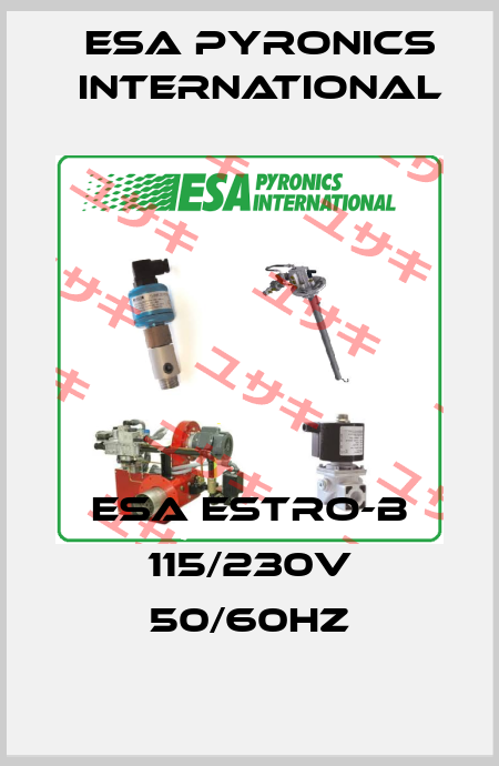 ESA ESTRO-B 115/230V 50/60Hz ESA Pyronics International