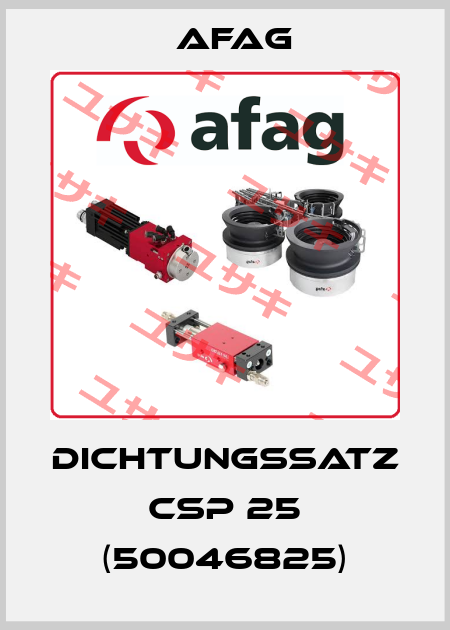 Dichtungssatz CSP 25 (50046825) Afag