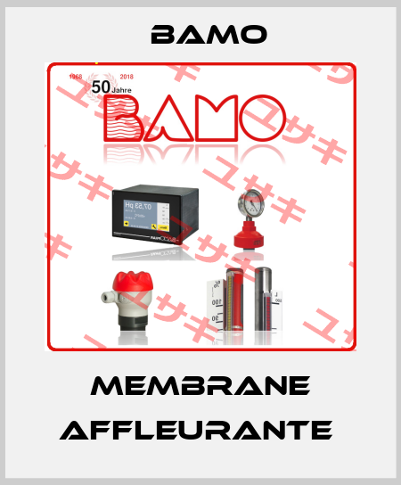 MEMBRANE AFFLEURANTE  Bamo