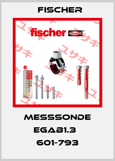MESSSONDE EGAB1.3   601-793 Fischer