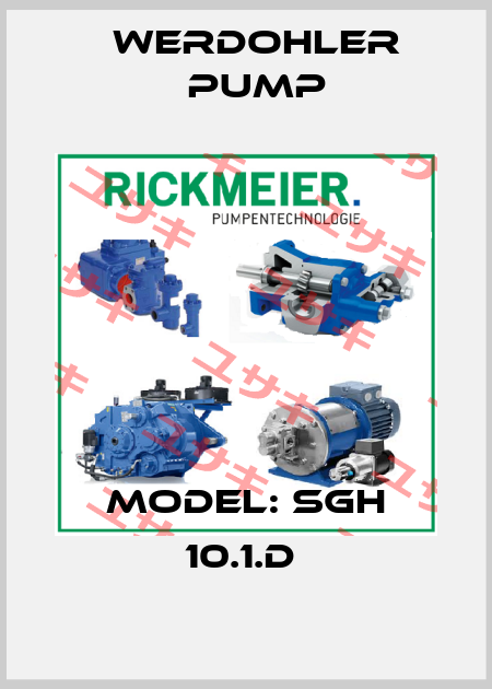 MODEL: SGH 10.1.D  Werdohler Pump