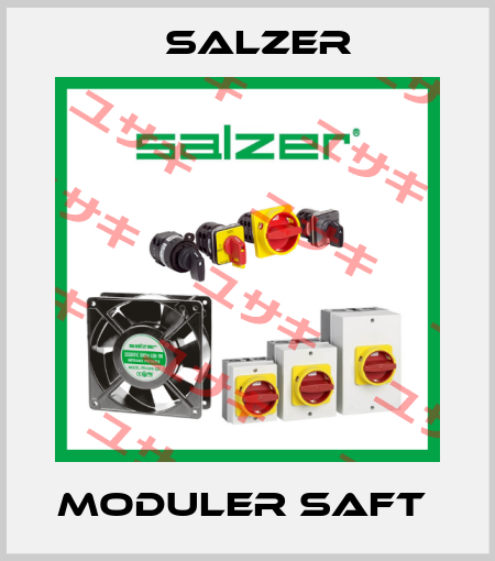MODULER SAFT  Salzer