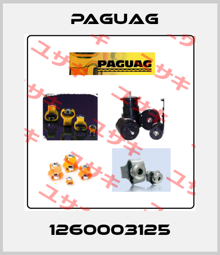1260003125 Paguag