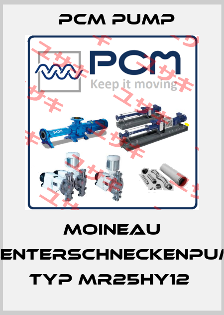 MOINEAU EXZENTERSCHNECKENPUMPE TYP MR25HY12  PCM Pump