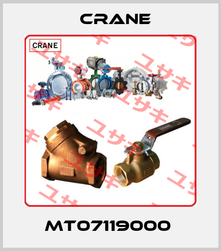 MT07119000  Crane