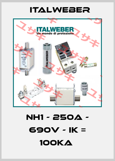 NH1 - 250A - 690V - IK = 100KA  Italweber