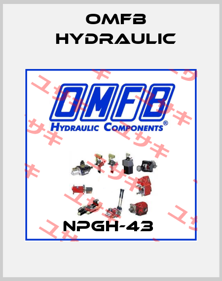 NPGH-43  OMFB Hydraulic