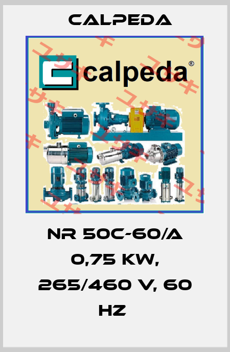 NR 50C-60/A 0,75 kW, 265/460 V, 60 Hz  Calpeda