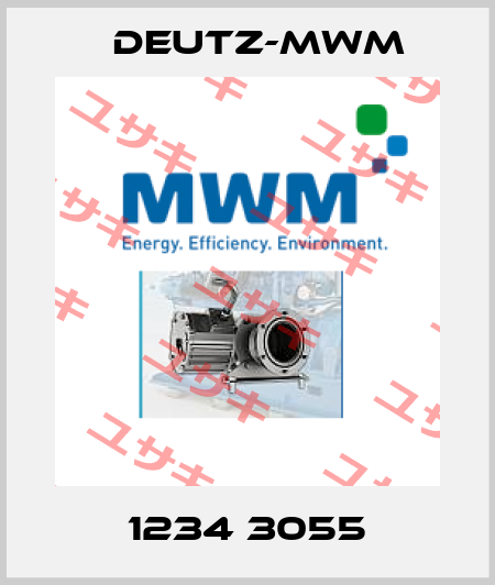 1234 3055 Deutz-mwm