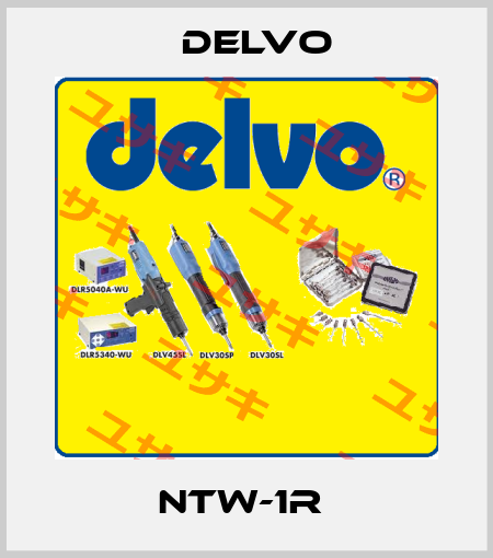 NTW-1R  Delvo