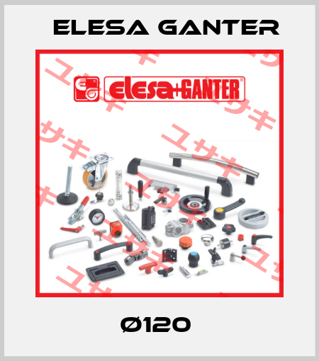 Ø120  Elesa Ganter