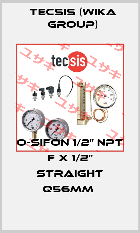 O-SIFON 1/2" NPT F X 1/2" STRAIGHT Q56MM  Tecsis (WIKA Group)