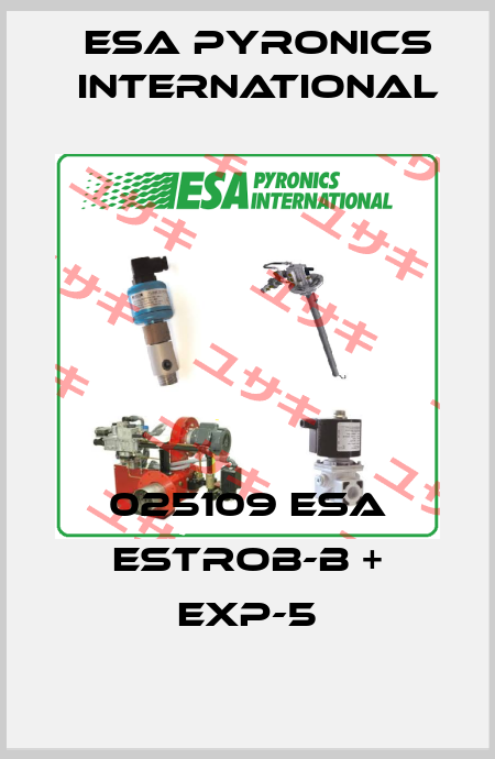 025109 ESA ESTROB-B + EXP-5 ESA Pyronics International