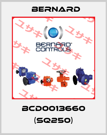 BCD0013660 (SQ250) Bernard