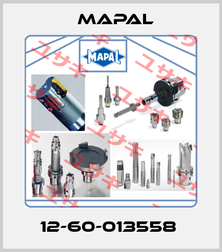 12-60-013558  Mapal