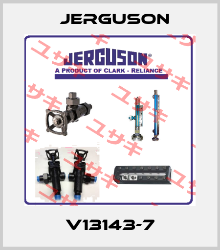 V13143-7 Jerguson
