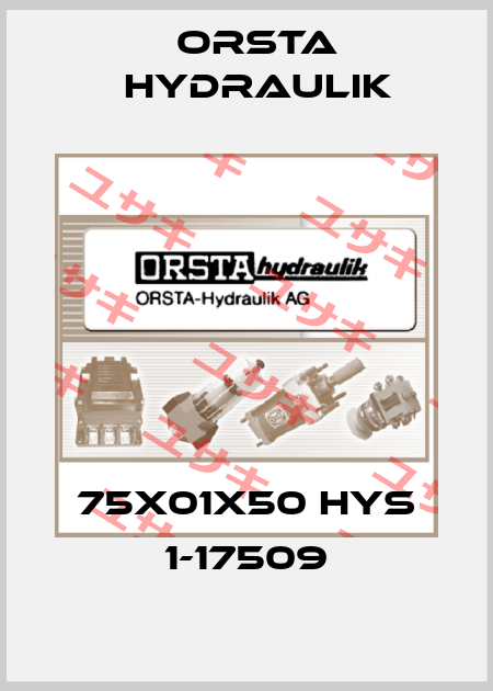 75x01x50 HYS 1-17509 Orsta Hydraulik