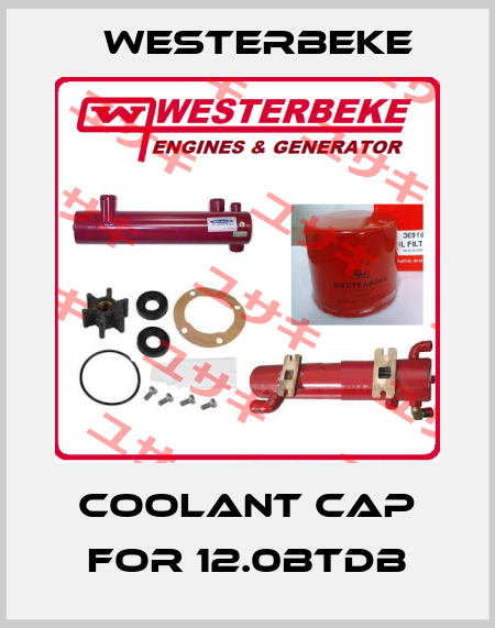 Coolant cap for 12.0BTDB Westerbeke