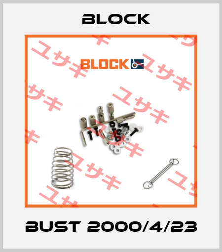 BUST 2000/4/23 Block
