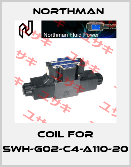 Coil for SWH-G02-C4-A110-20 Northman