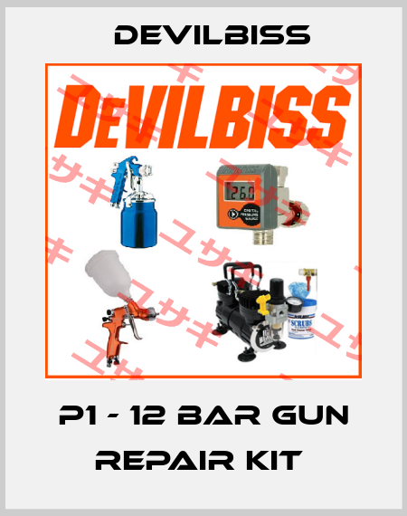 P1 - 12 BAR GUN REPAIR KIT  Devilbiss
