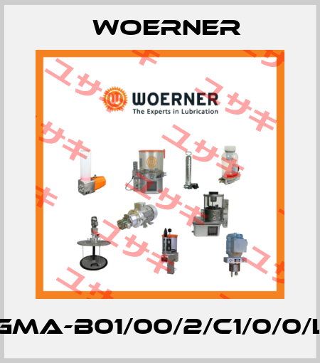 GMA-B01/00/2/C1/0/0/L Woerner